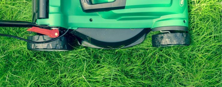 The-Ultimate-UK-Lawn-Care-Tips-Guide-for