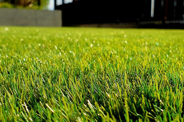 The-Ultimate-UK-Lawn-Care-Tips-Guide-for-All-Seasons-1.jpg